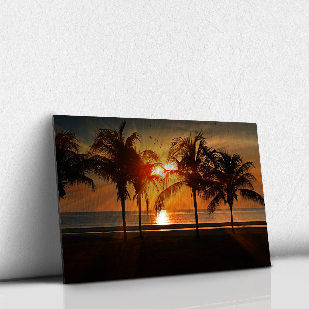 Atardecer en las palmeras