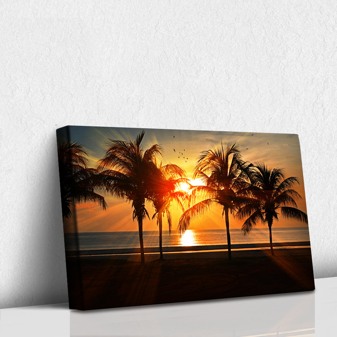 Atardecer en las palmeras