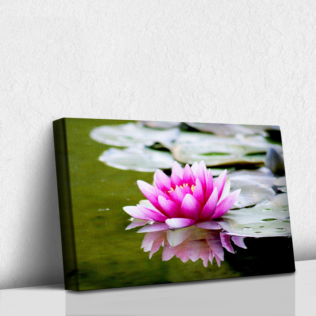 Flor de Loto