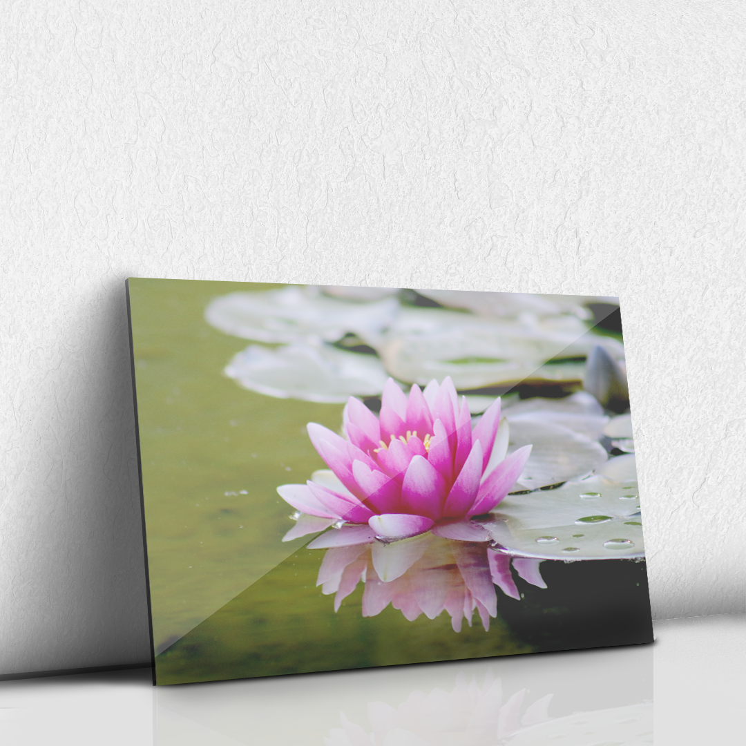 Flor de Loto