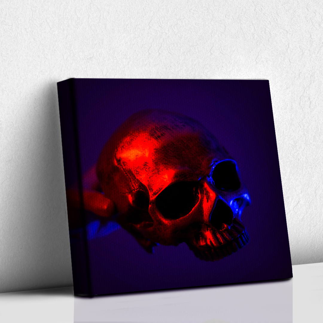 Front skull