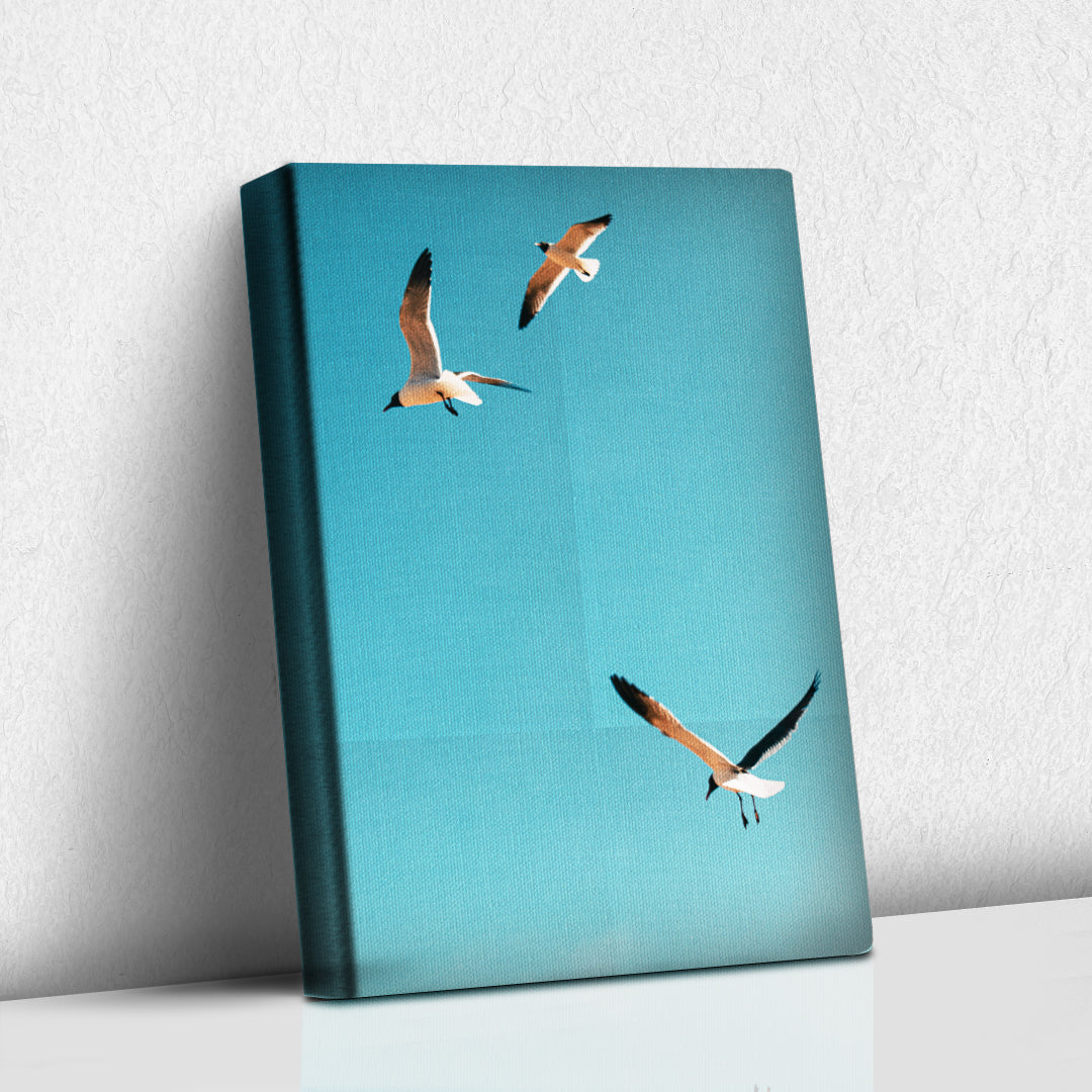 Gaviotas