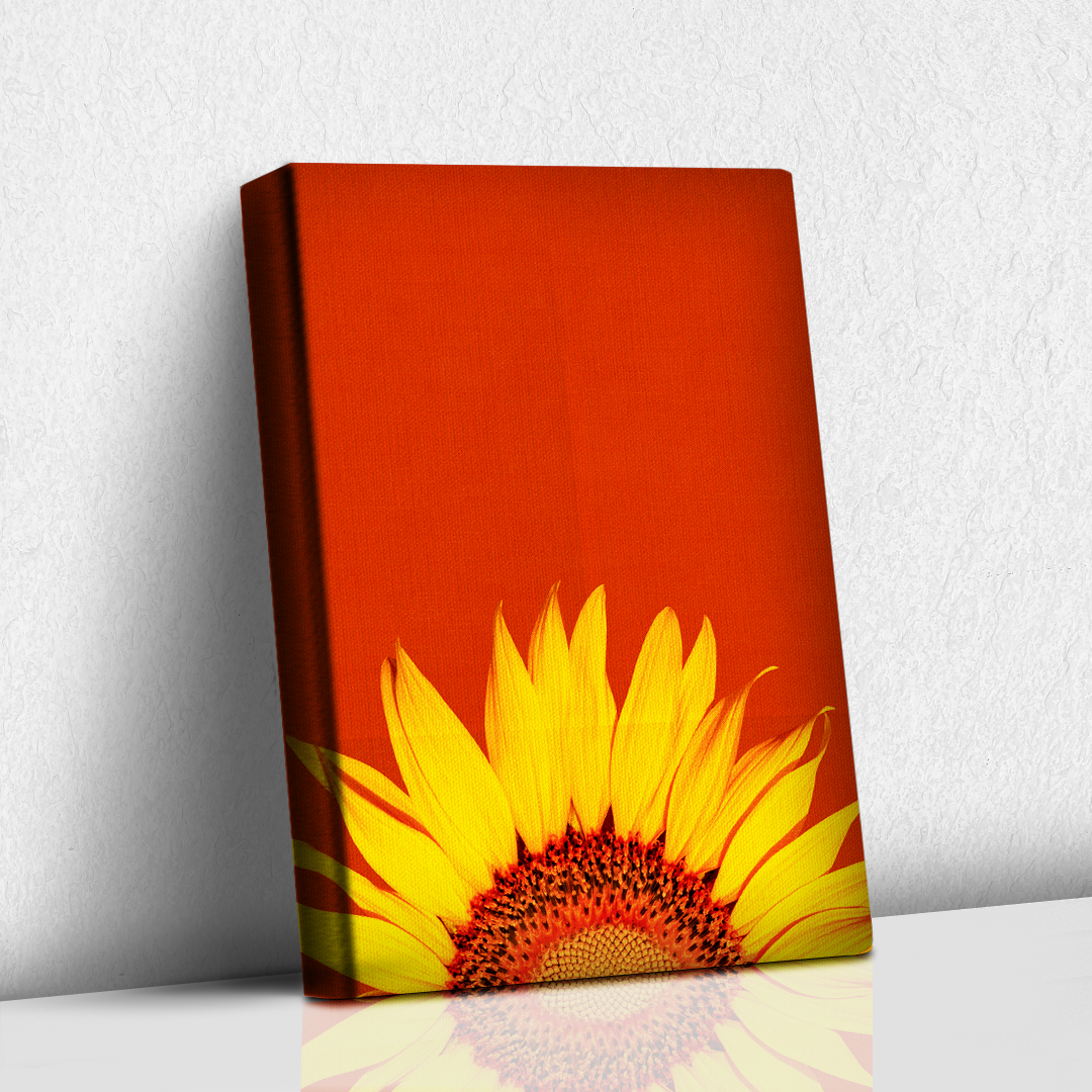 Girasol