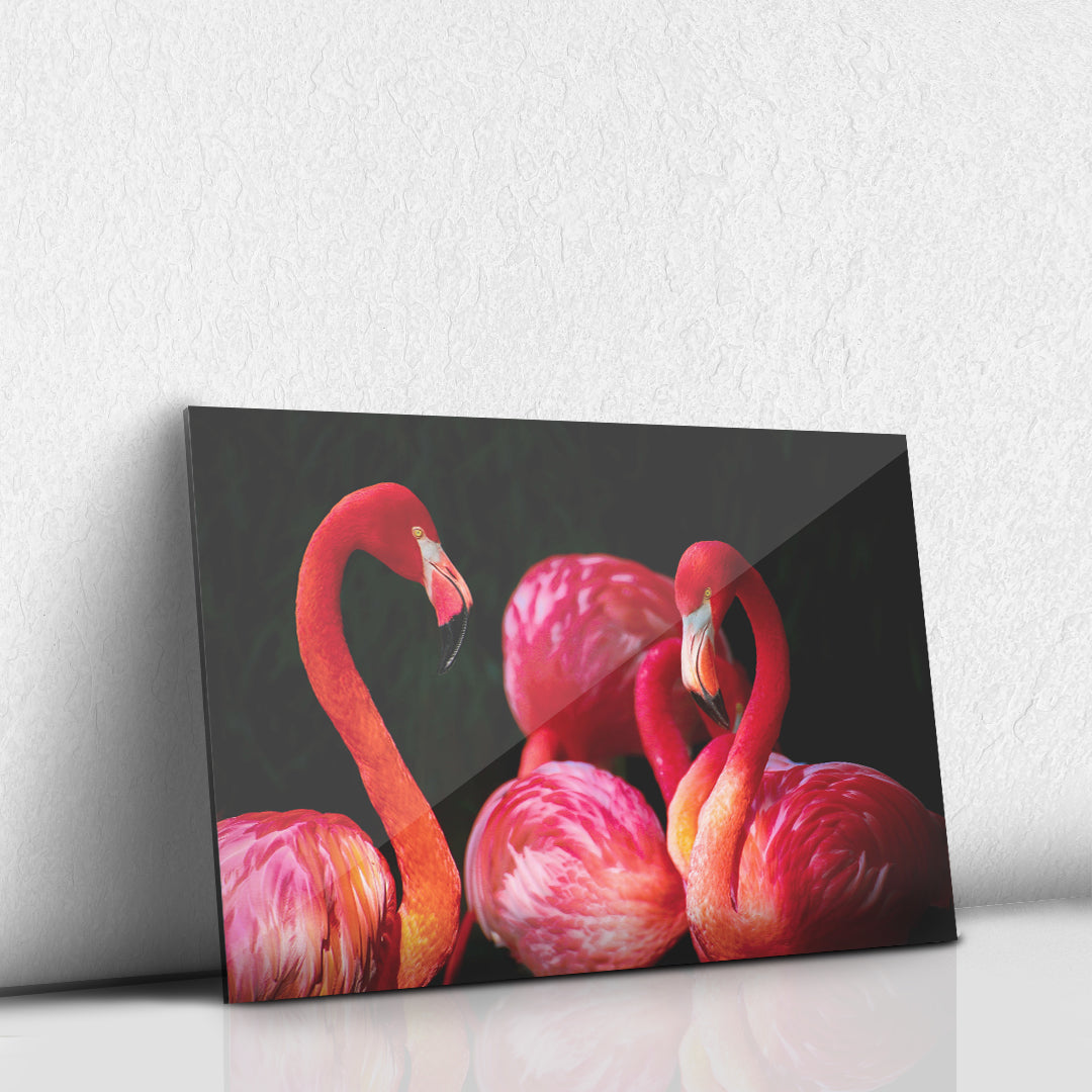 Flamencos