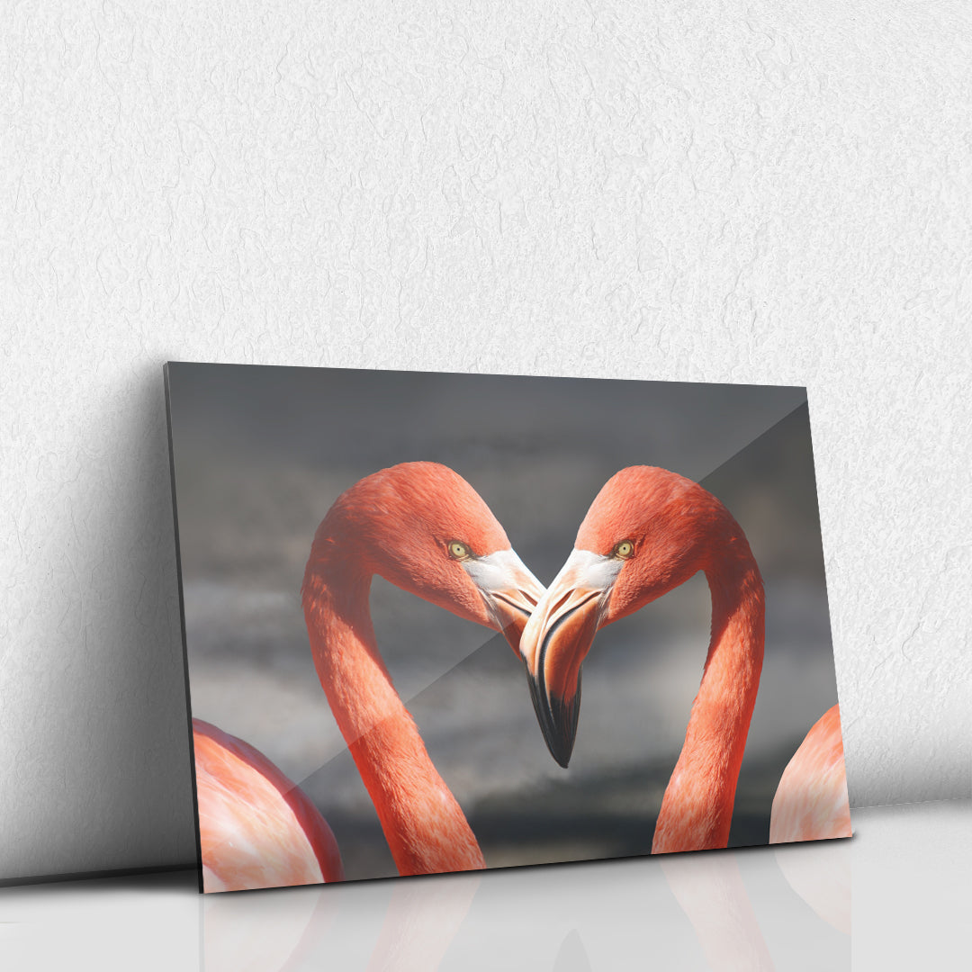 Amor de Flamencos