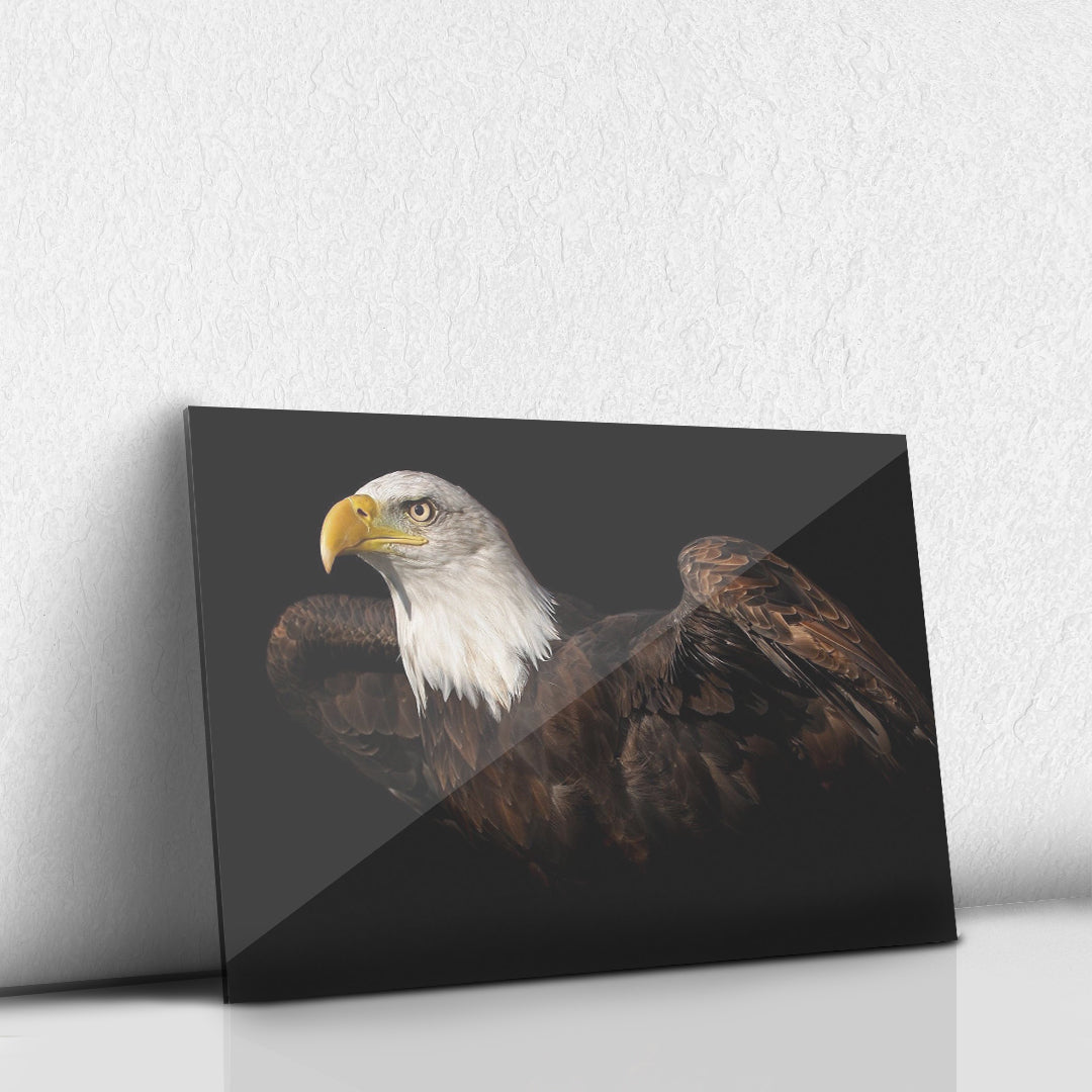 Aguila