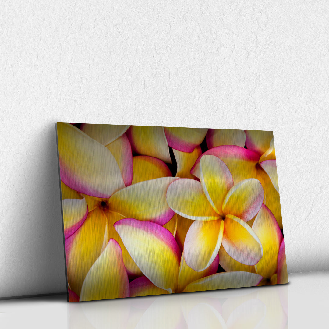 Flor amarillo y rosa