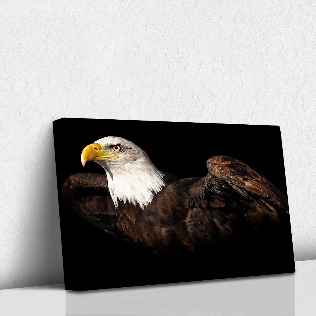 Aguila