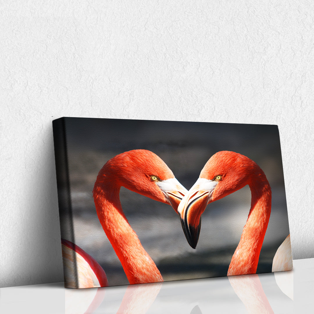 Amor de Flamencos