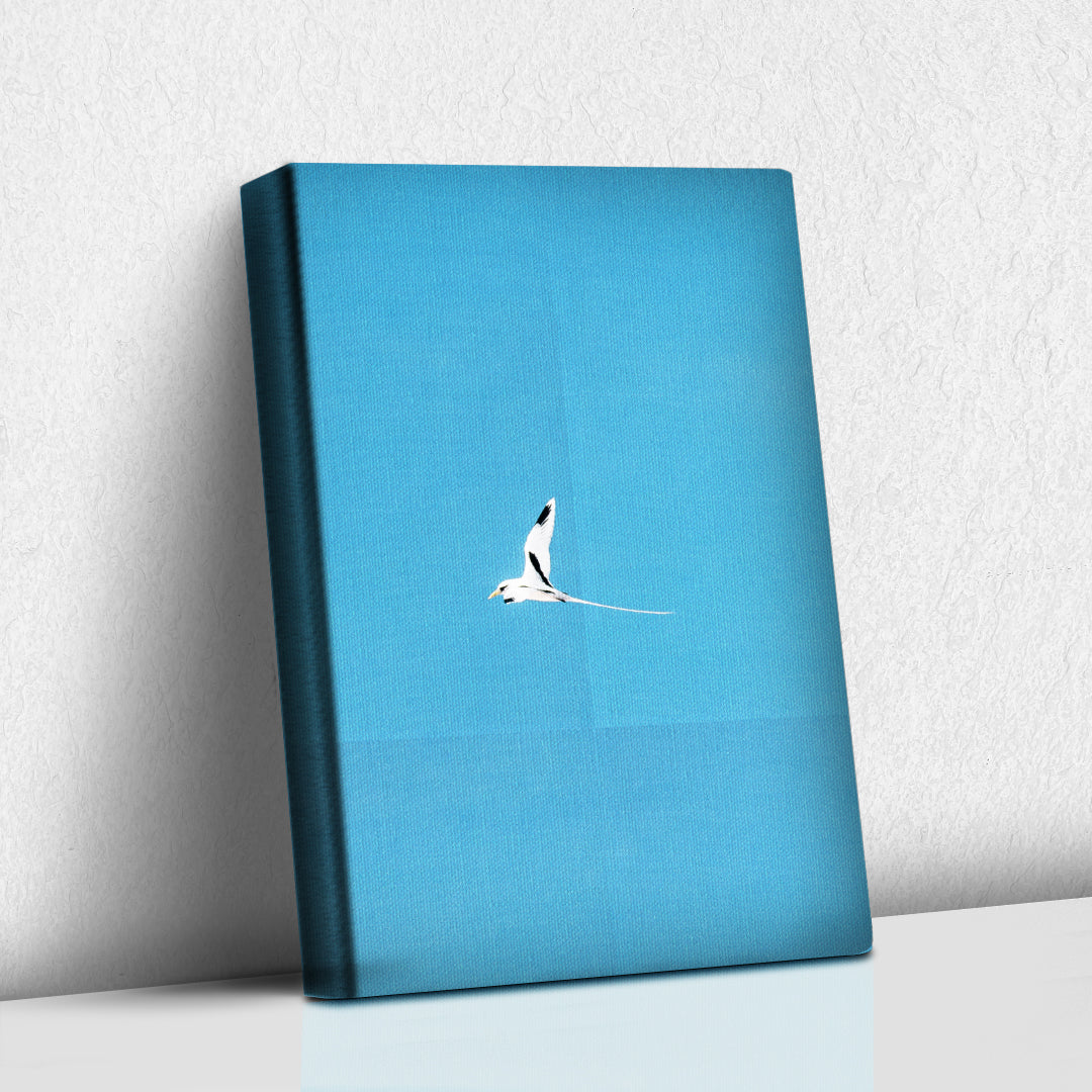 La Gaviota