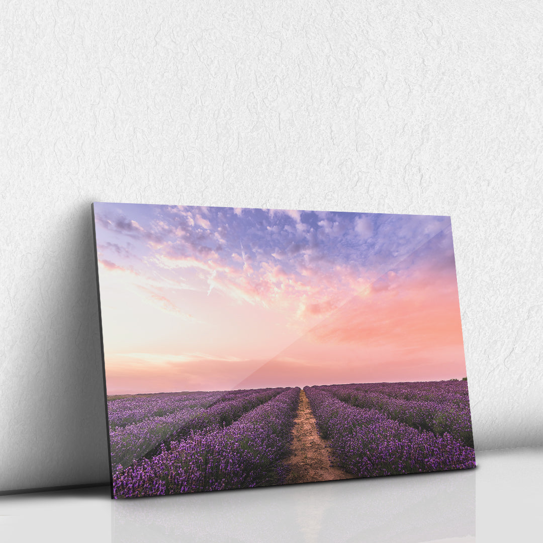 Lavanda