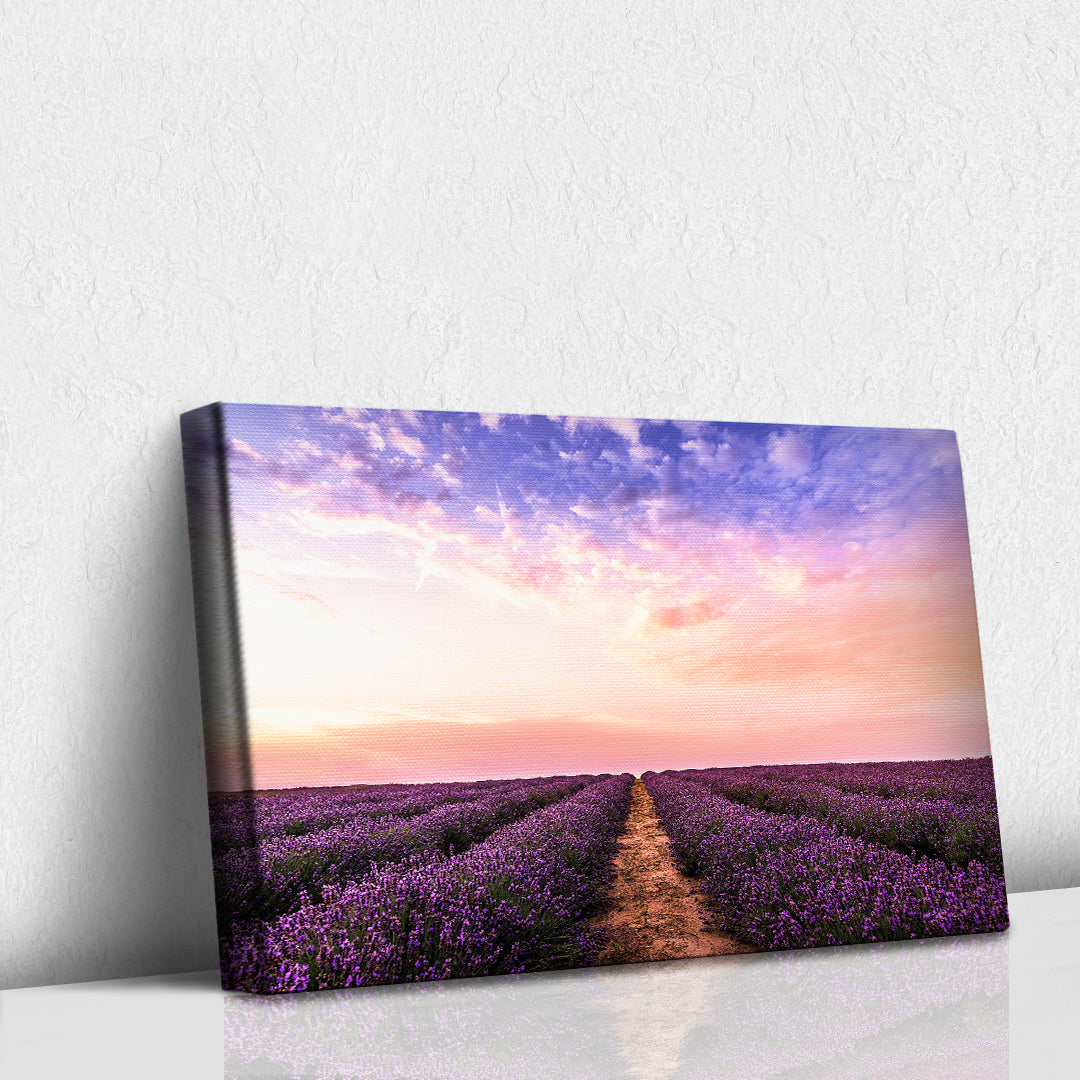 Lavanda