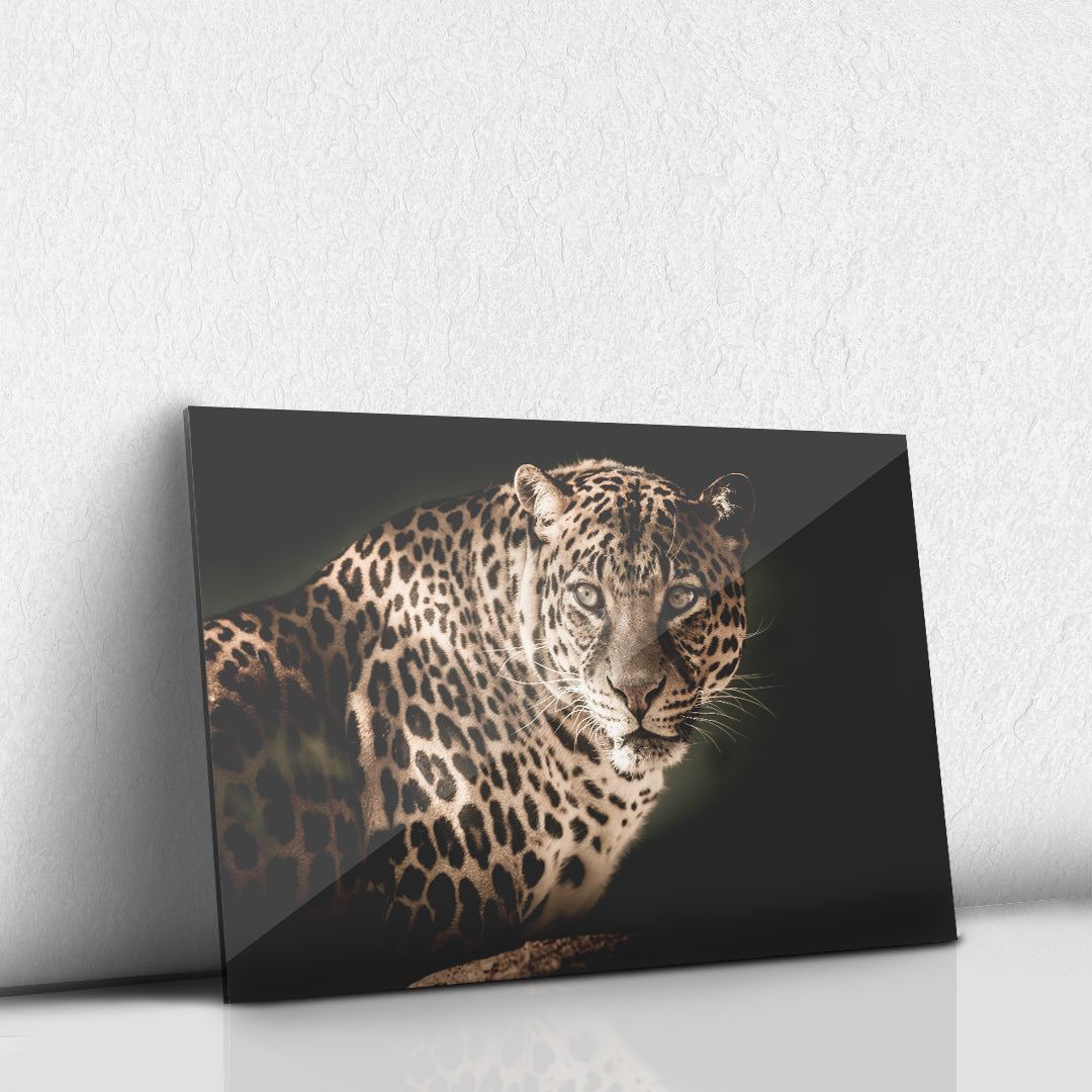 Leopardo