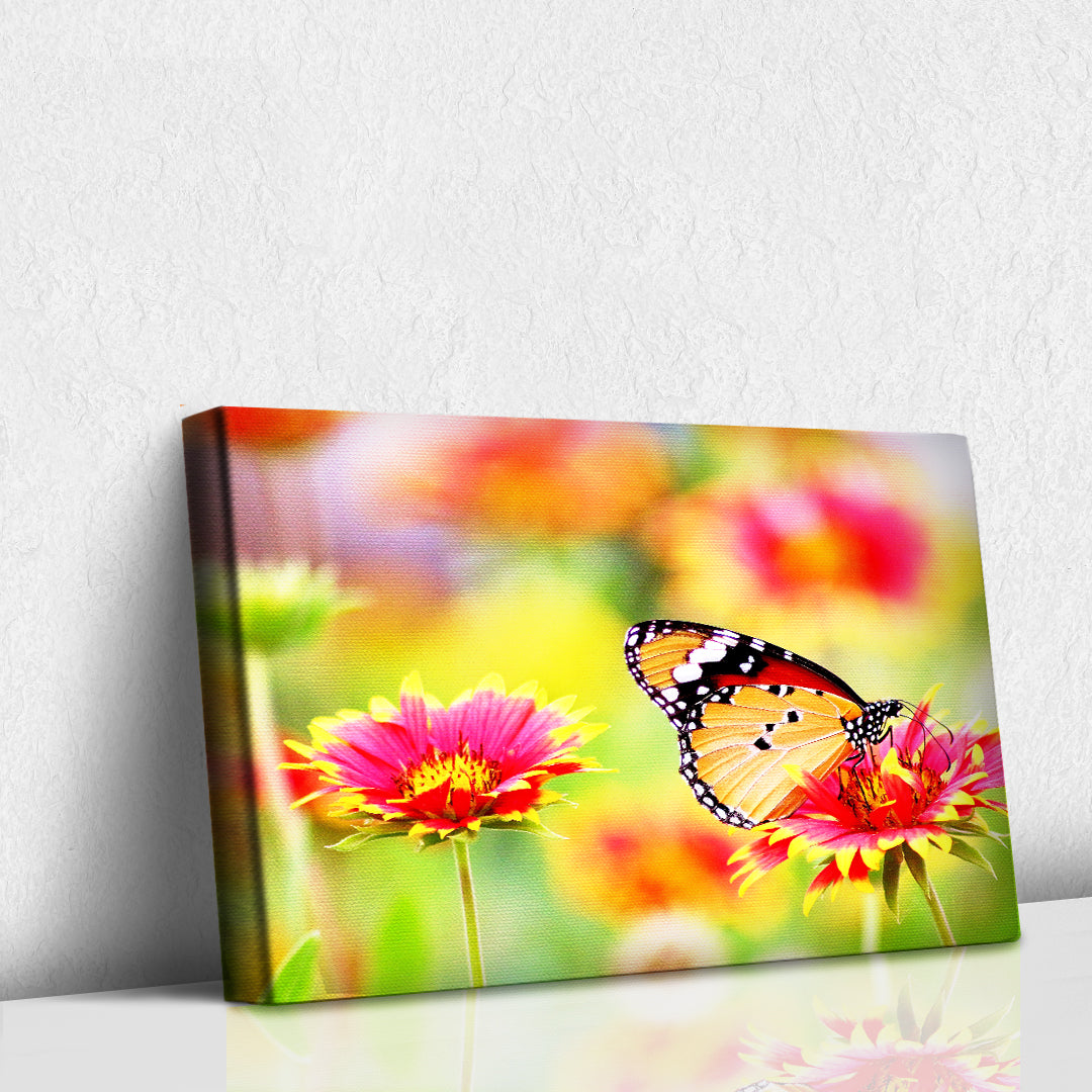 Mayordomo de la naturaleza