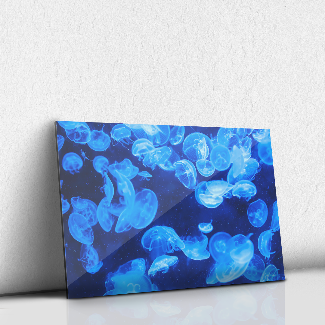 Medusas azules