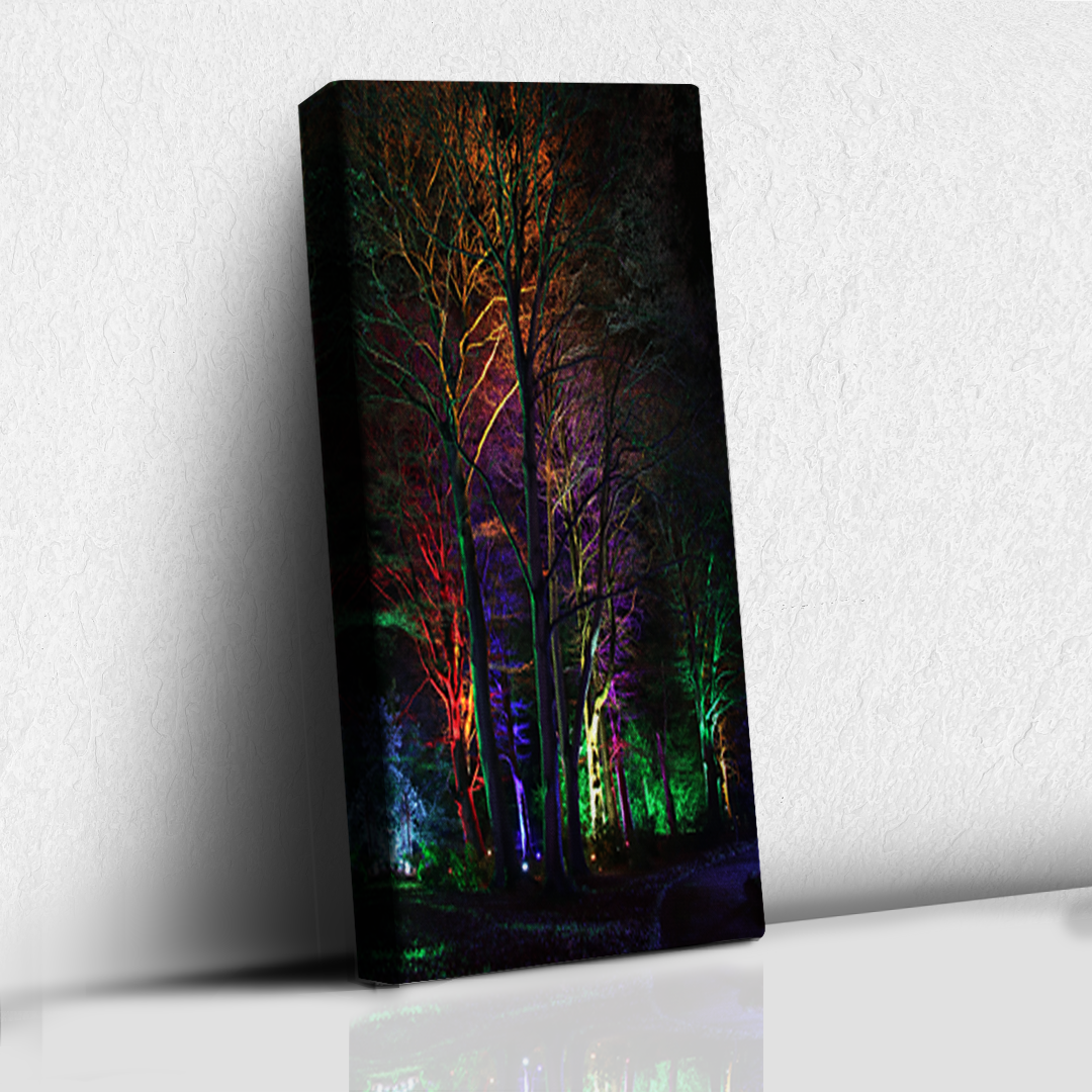 Neon Trees