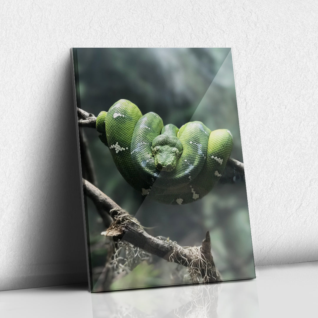Serpiente Verde