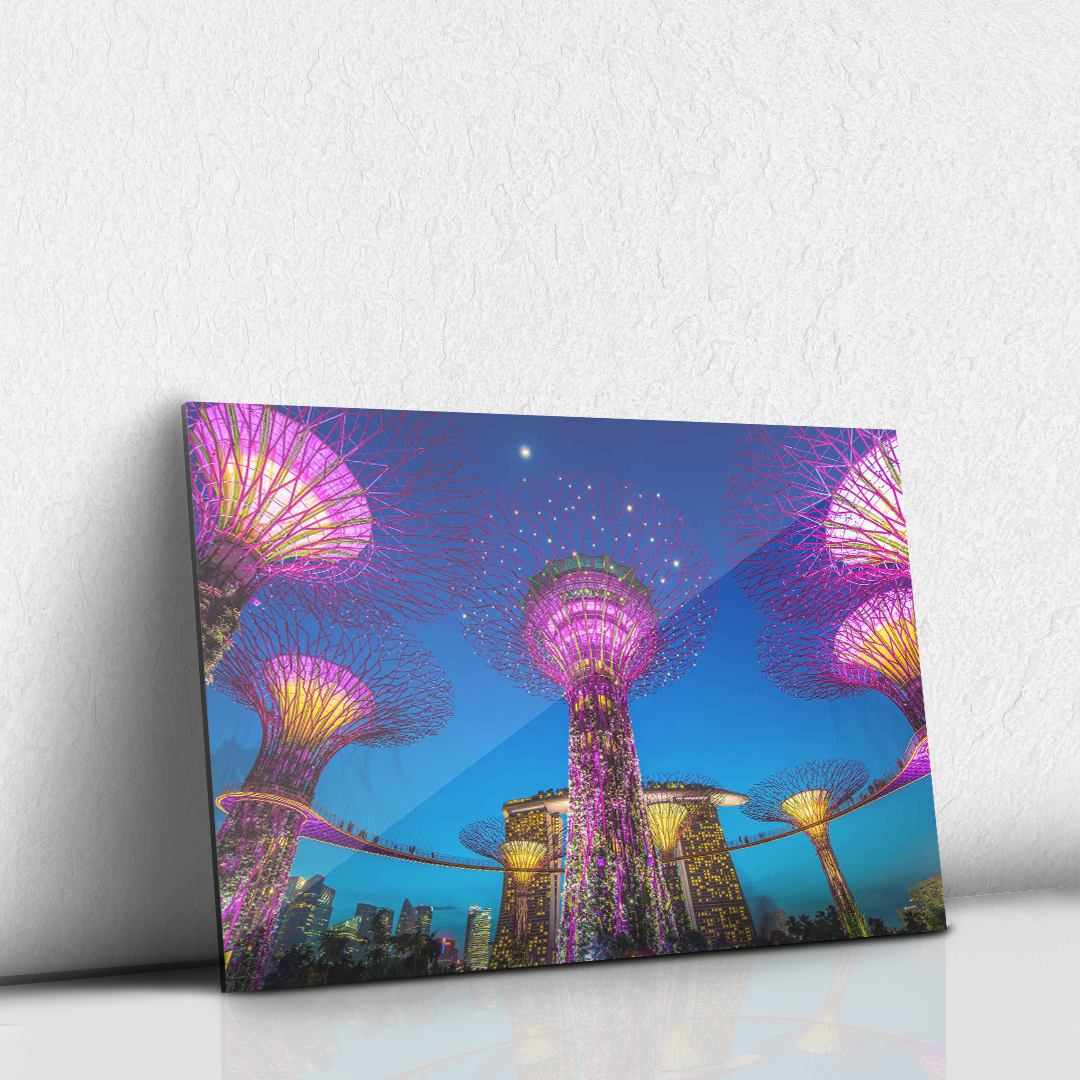 Supertree Grove
