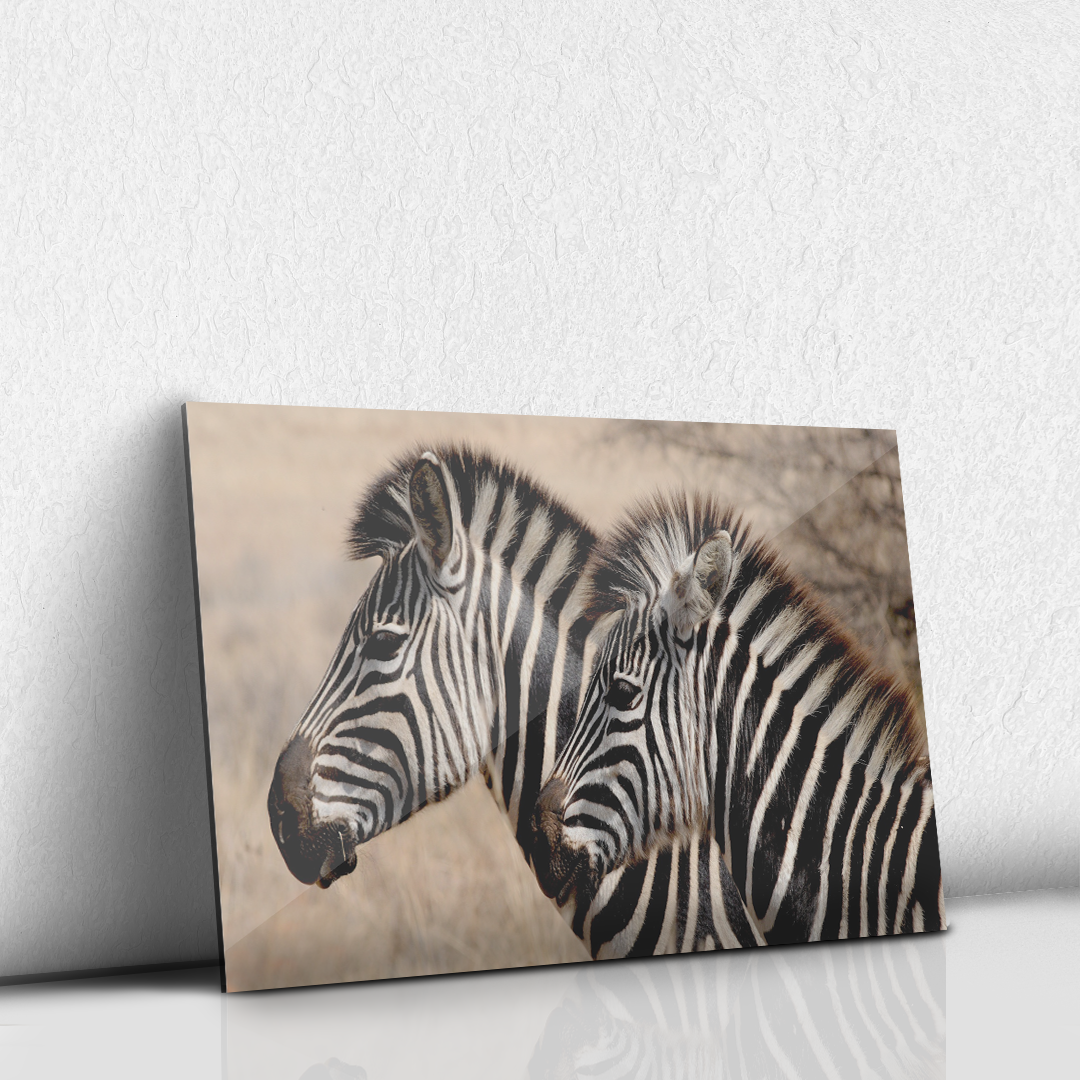 Zebras