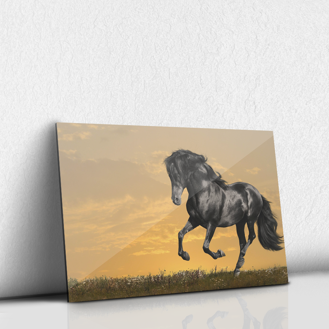 Caballo