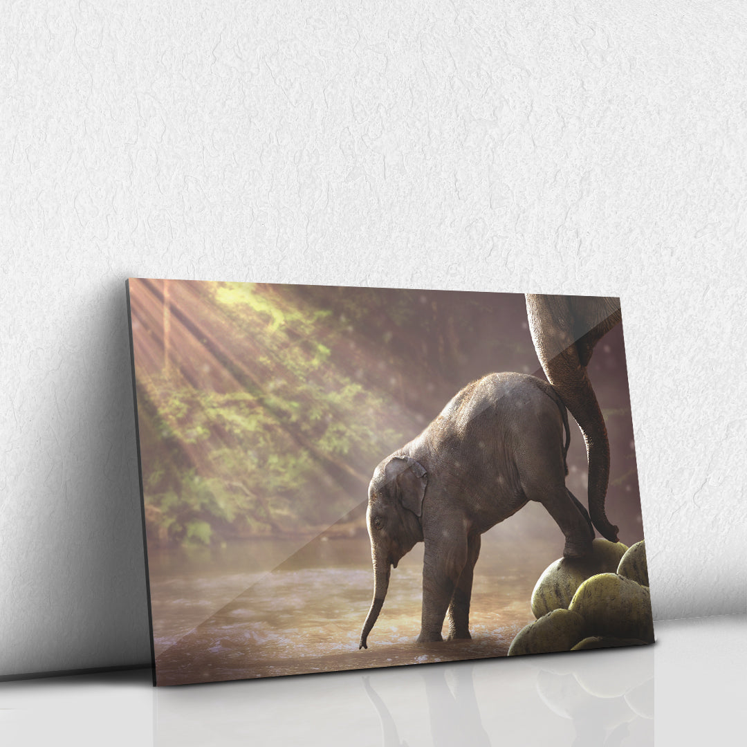 Elefante bebe