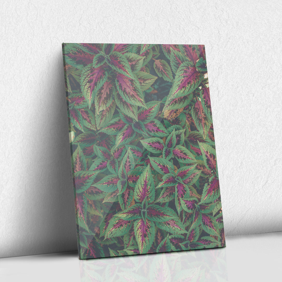 Hojas en verde y rosa