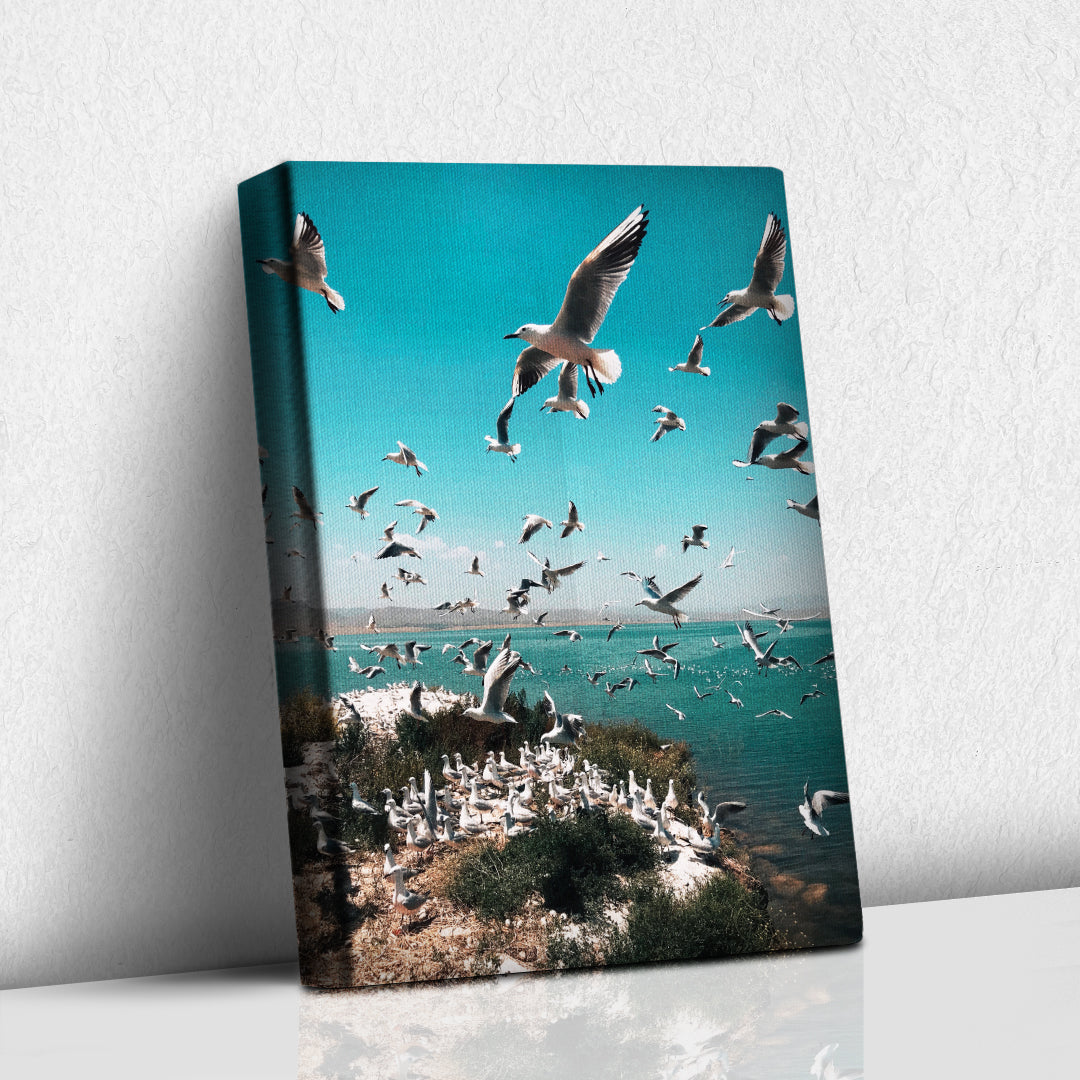Parvada de Gaviotas