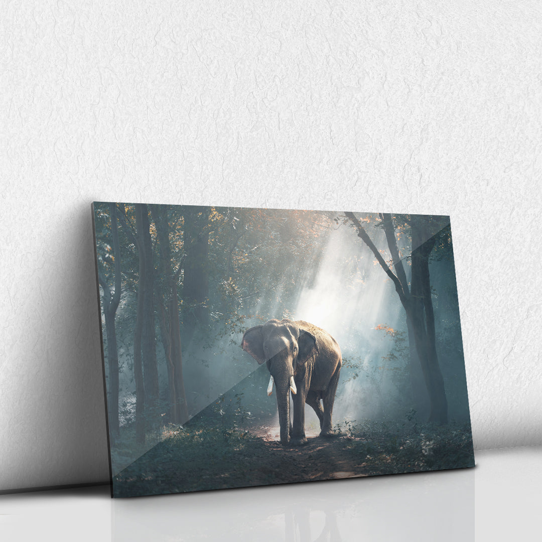 Elefante