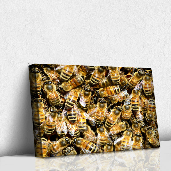 Panal de Abejas