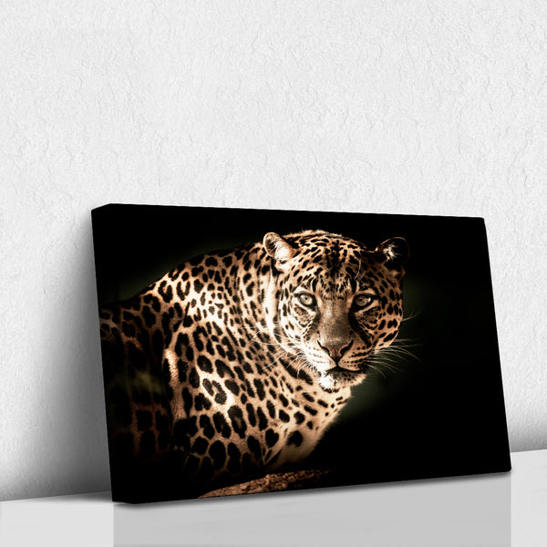 Leopardo