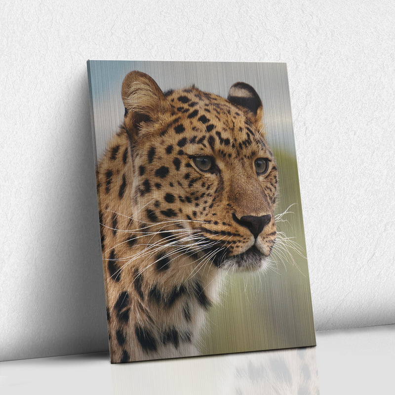 Leopardo