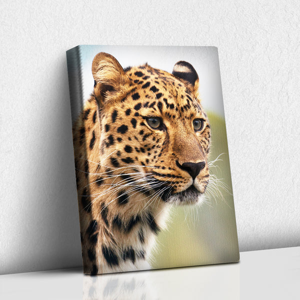 Leopardo